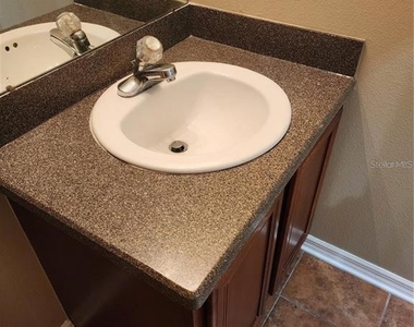 15924 Fishhawk Creek Lane - Photo Thumbnail 8