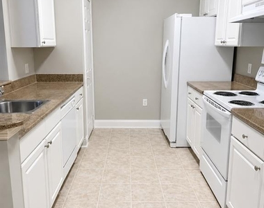 303 Southern Pecan Circle - Photo Thumbnail 1