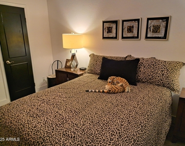 7350 N Via Paseo Del Sur -- - Photo Thumbnail 14