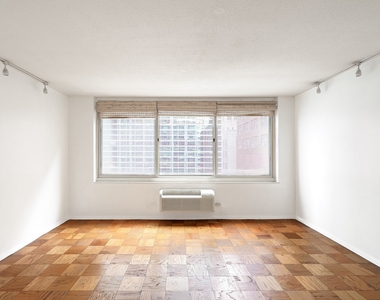 333 E 45th Street - Photo Thumbnail 1