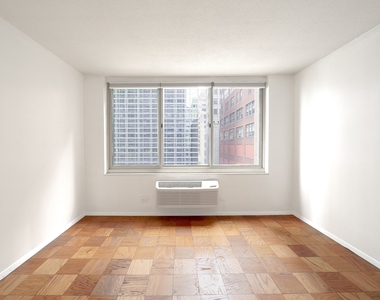 333 E 45th Street - Photo Thumbnail 2