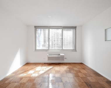 333 E 45th Street - Photo Thumbnail 1