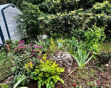 905 Sanderson Drive - Photo Thumbnail 33
