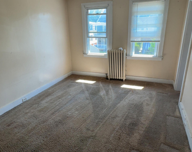 319 New York Street - Photo Thumbnail 8