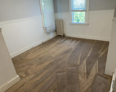 319 New York Street - Photo Thumbnail 9