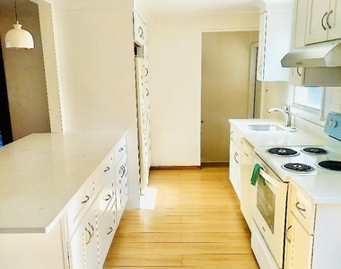 8 Rome Street - Photo Thumbnail 5