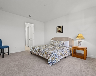 16462 Sea Turtle Place - Photo Thumbnail 16