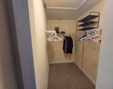 3810 Haley Court - Photo Thumbnail 19