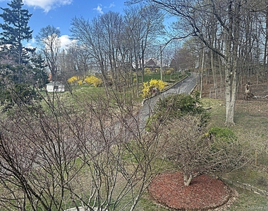 8 Ridge Street - Photo Thumbnail 4