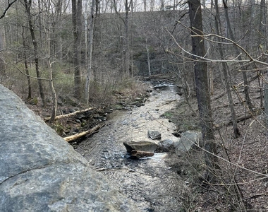 8 Ridge Street - Photo Thumbnail 39