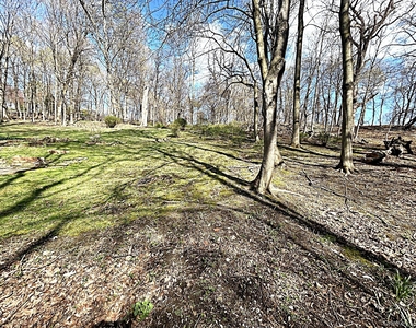 8 Ridge Street - Photo Thumbnail 29
