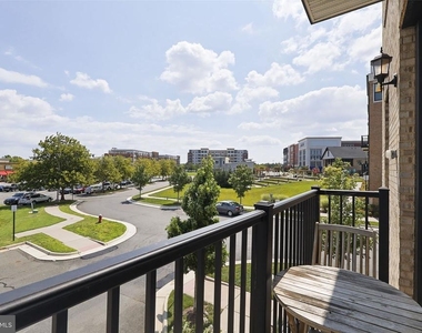 42623 Nubbins Terrace - Photo Thumbnail 17