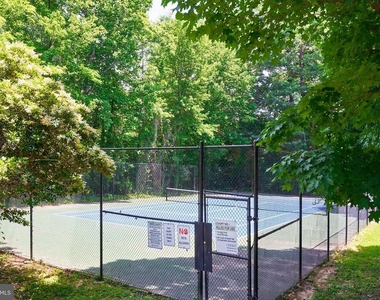 3430 Martha Custis Drive - Photo Thumbnail 29