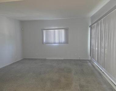 765 Douglas Street - Photo Thumbnail 4