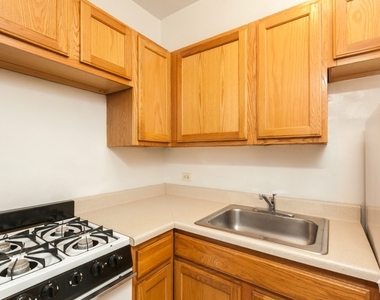 1164 N Dearborn - Photo Thumbnail 6