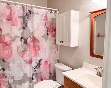 8 Rose Terrace - Photo Thumbnail 18