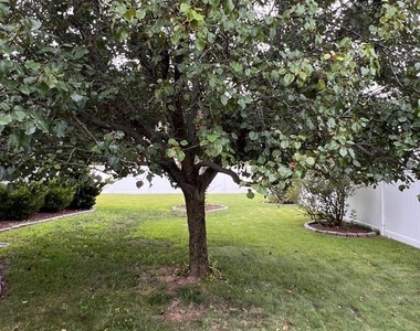 8 Rose Terrace - Photo Thumbnail 41