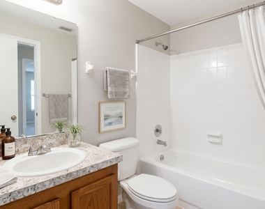 4711 Cinnamon Fern Drive - Photo Thumbnail 21