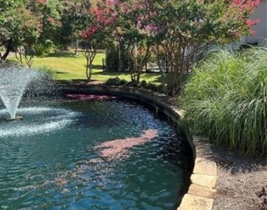 4223 Castle Rock Court - Photo Thumbnail 23