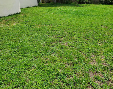 2460 Ne 215th Street - Photo Thumbnail 12