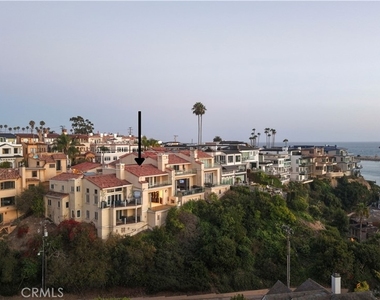 315 Carnation - Photo Thumbnail 9
