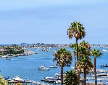 315 Carnation - Photo Thumbnail 11