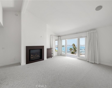 315 Carnation - Photo Thumbnail 15