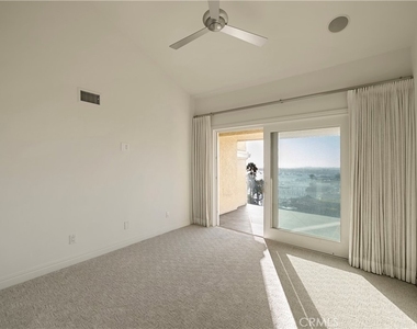 315 Carnation - Photo Thumbnail 4