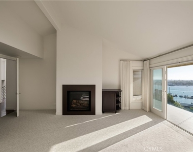 315 Carnation - Photo Thumbnail 3
