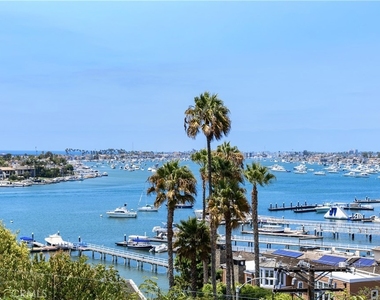 315 Carnation - Photo Thumbnail 19