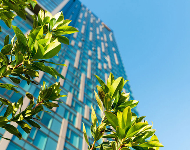 889 Francisco Street - Photo Thumbnail 23