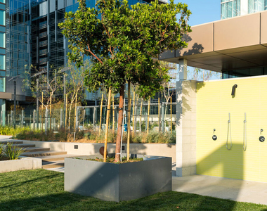 889 Francisco Street - Photo Thumbnail 29