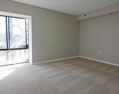 10208 Bushman Drive - Photo Thumbnail 10