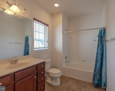 43699 Sweetbay Street - Photo Thumbnail 22