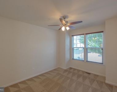 43699 Sweetbay Street - Photo Thumbnail 23