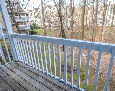 10715 Hampton Mill Terrace - Photo Thumbnail 20