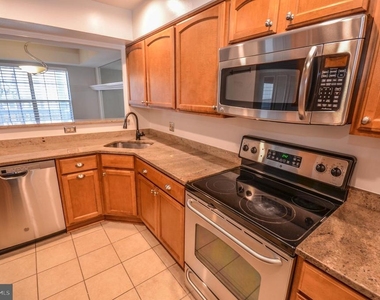 10715 Hampton Mill Terrace - Photo Thumbnail 8