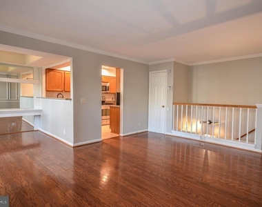10715 Hampton Mill Terrace - Photo Thumbnail 6