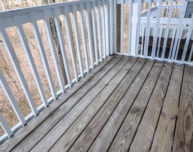 10715 Hampton Mill Terrace - Photo Thumbnail 19