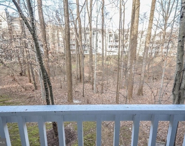 10715 Hampton Mill Terrace - Photo Thumbnail 21