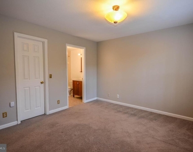 10715 Hampton Mill Terrace - Photo Thumbnail 12