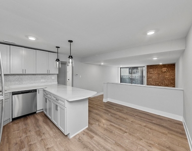 1220 N Lasalle - Photo Thumbnail 3