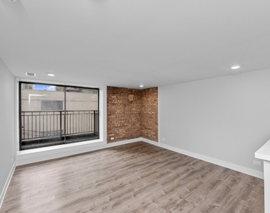 1220 N Lasalle - Photo Thumbnail 2