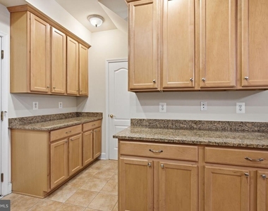13624 Dover Cliffs Place - Photo Thumbnail 10