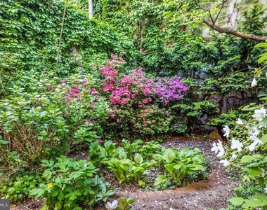 2426 I Street Nw - Photo Thumbnail 17