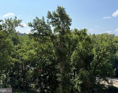 4201 Cathedral Avenue Nw - Photo Thumbnail 35