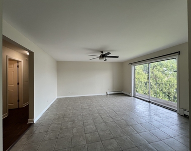 355 Bluff Avenue - Photo Thumbnail 5