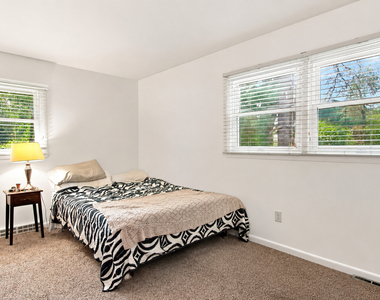 303 Ridge Street - Photo Thumbnail 11
