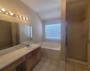 17211 Brookhollow Grove Court - Photo Thumbnail 14