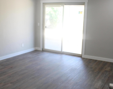 3133 Fierro Drive - Photo Thumbnail 17